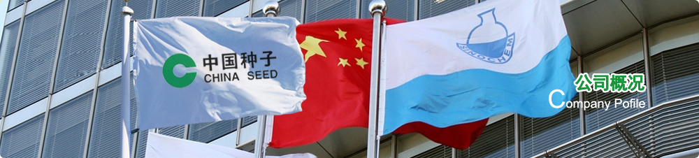 星空体育app下载入口